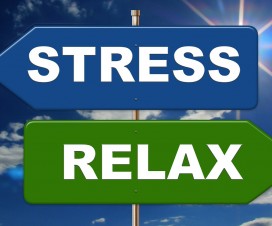 Der Weg in den Stress oder der Weg aus dem Stress